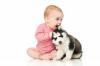 כלב ותינוק: כללי ההסתגלות ההדדית