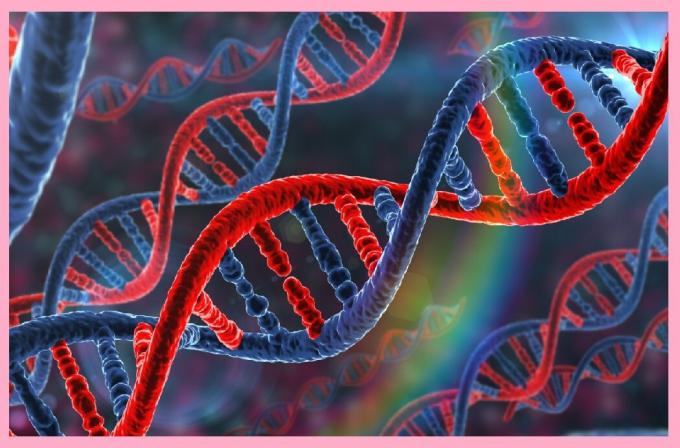 מקטעי DNA (גנים) עוברים בירושה, ומכילים מידע כי הוא אחראי על הבריאות, ובעלי נטייה למחלות.