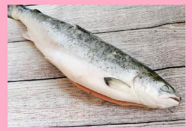 אומגה - 3 בדגים (סלמון)