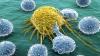 איך הטבע עוזר להילחם בסרטן