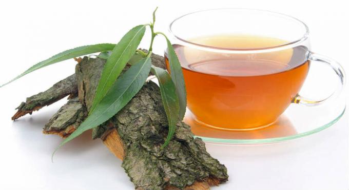 תה עשוי מקליפת עץ הערבה