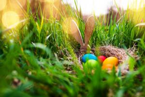 כיצד להסביר לילדך את משמעות ארנב הפסחא וביצים צבעוניות