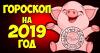 הורוסקופ עבור כל סימן של גלגל המזלות של שנת החזיר