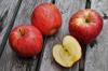 5 סיבות למה אתה צריך לאכול תפוחים