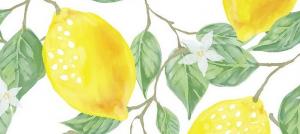 לימון - עדיין מאכלים חומציים או בסיסיים?