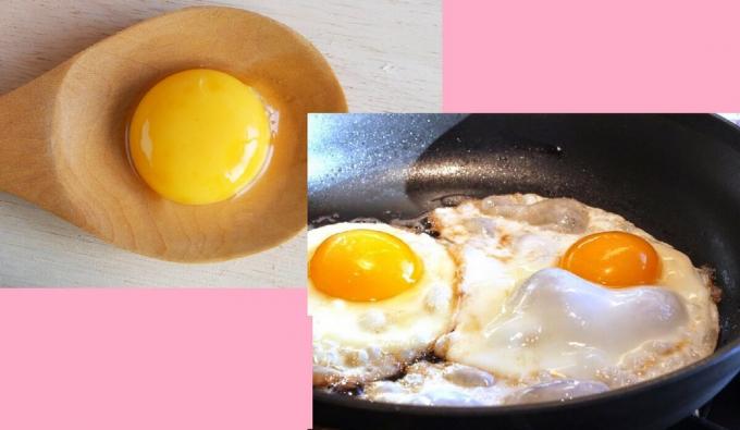 חלמון ביצה או ביצים