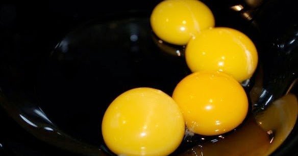 חלמון ביצה - חלמון
