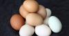 הפיג את המיתוס של הביצים הניזקות במחלוקת