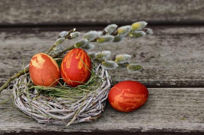 כיצד לצבוע ביצי שליו לחג הפסחא עם אוכל: טיפים מוכחים